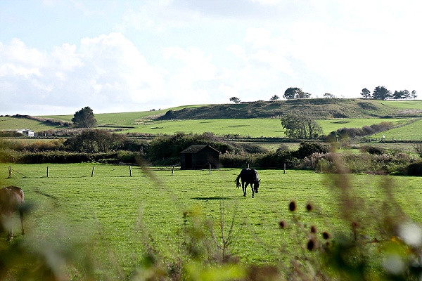 Dorset Countryside