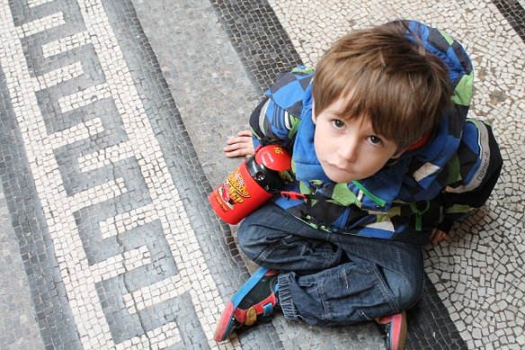 The Natural History Museum