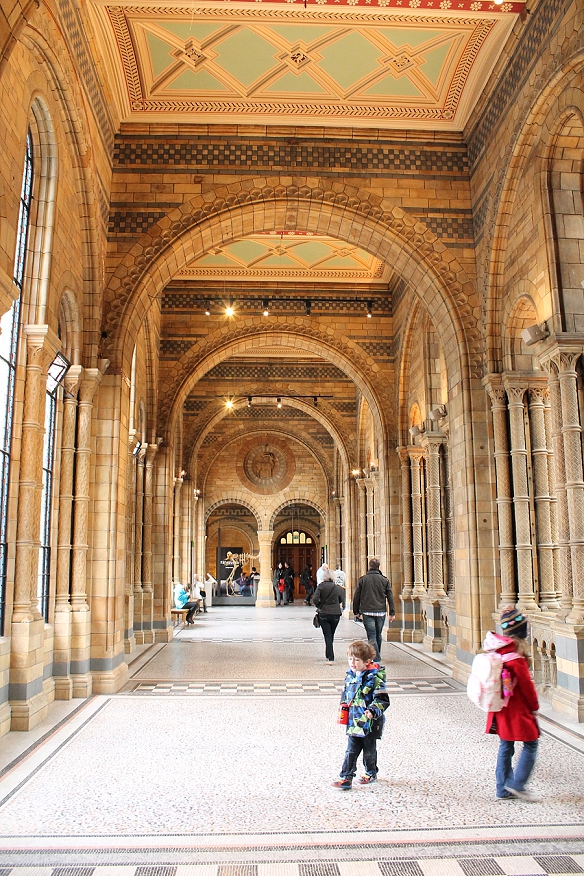 The Natural History Museum