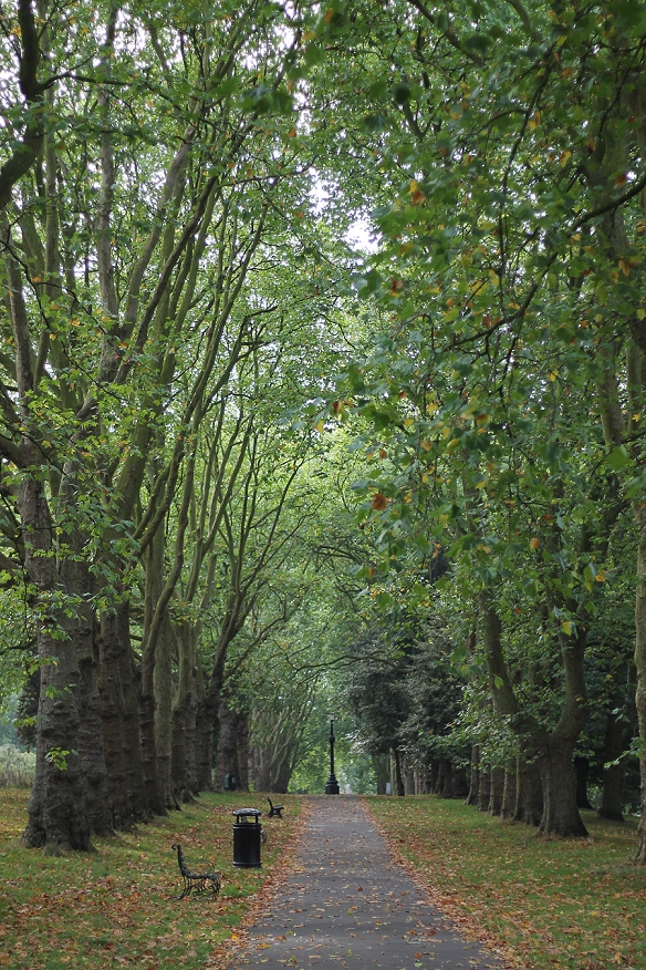 St George's Park, Bristol