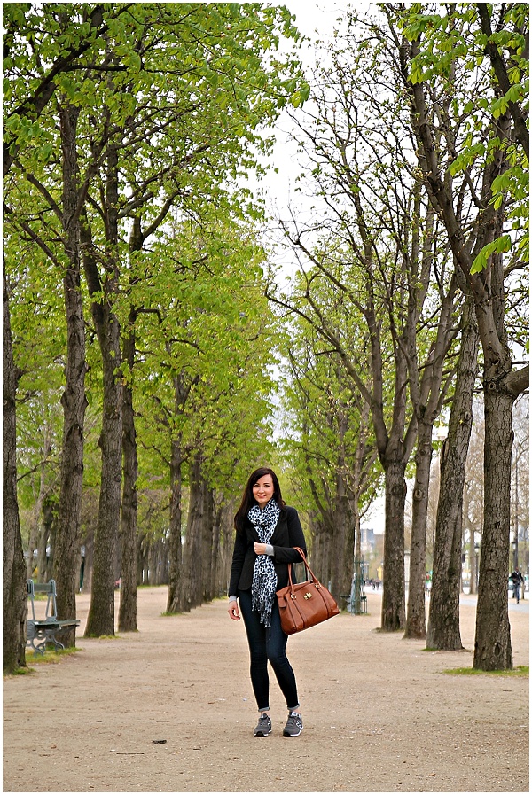 Avenue of Trees in Paris