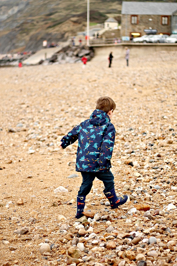 Joules Navy Shark Print Coat