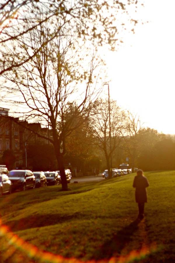 Clifton Downs Winter Sunshine