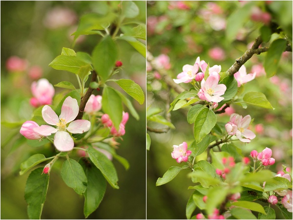 Love Audrey Weekend Spring Blossom