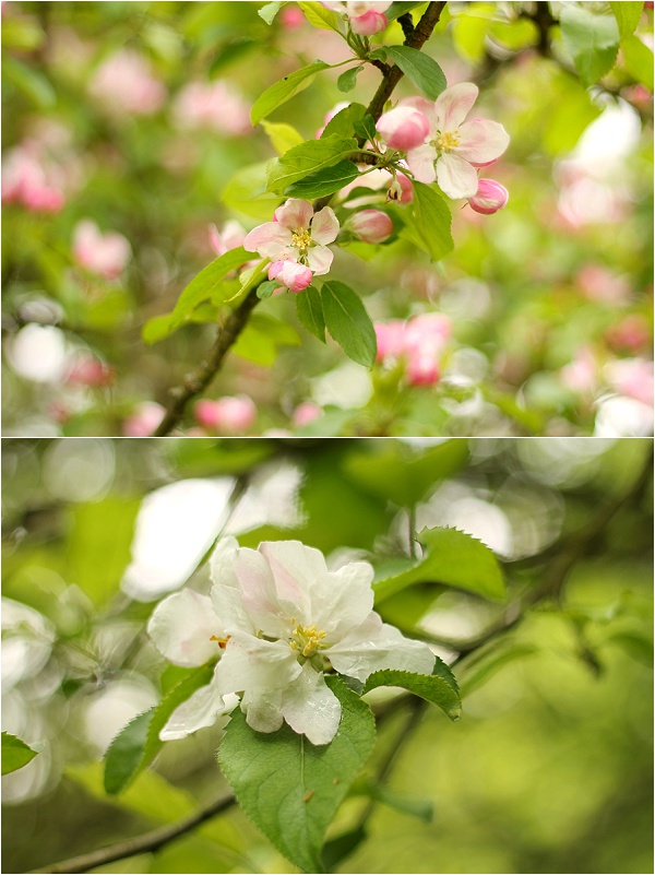 Love Audrey Weekend Spring Blossom