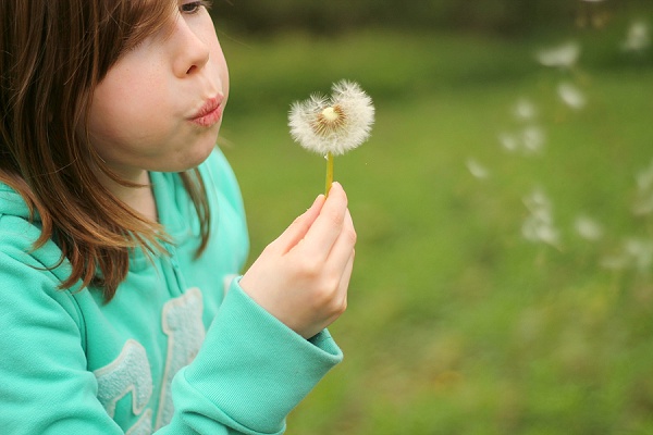 Love Audrey Weekend Dandelion Clock 2
