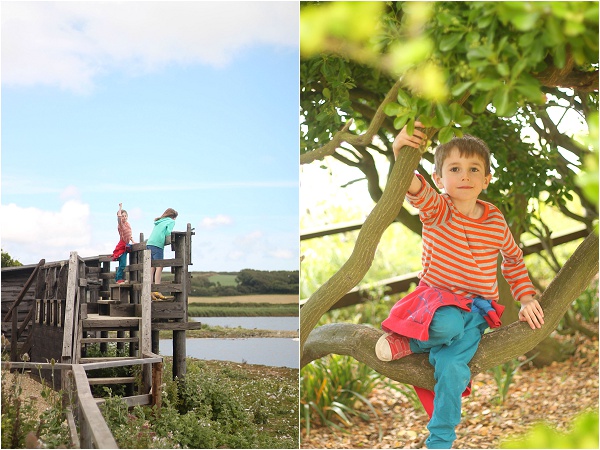 Love Audrey Abbotsbury Swannery Dorset