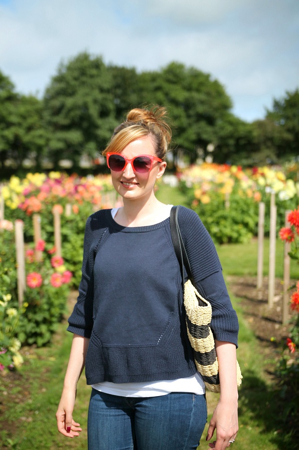 National Dahlia Collection Varfell Farm Cornwall